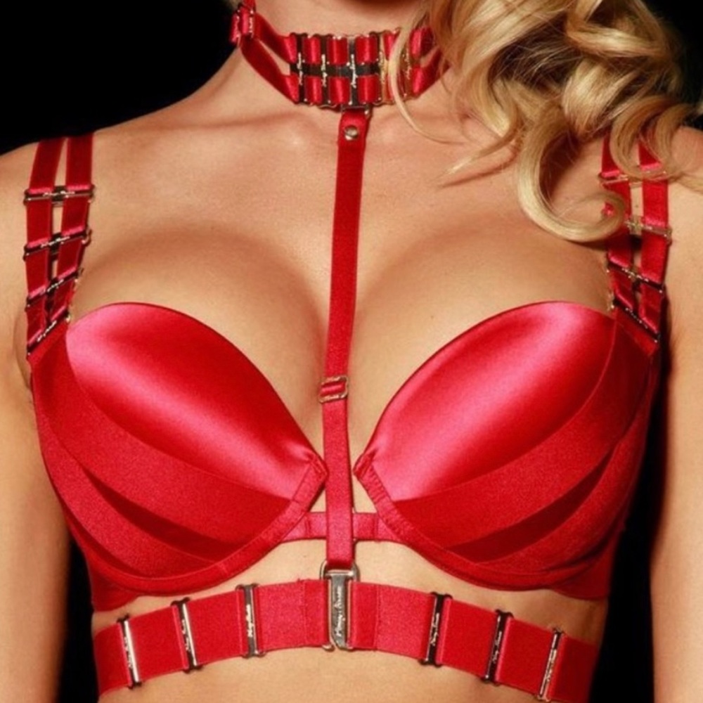 ♥️BNWOT HB™ ☆Samantha☆ 32B w/ Matching Choker Harness 3-in-1 Looks 2-Piece SET♥️